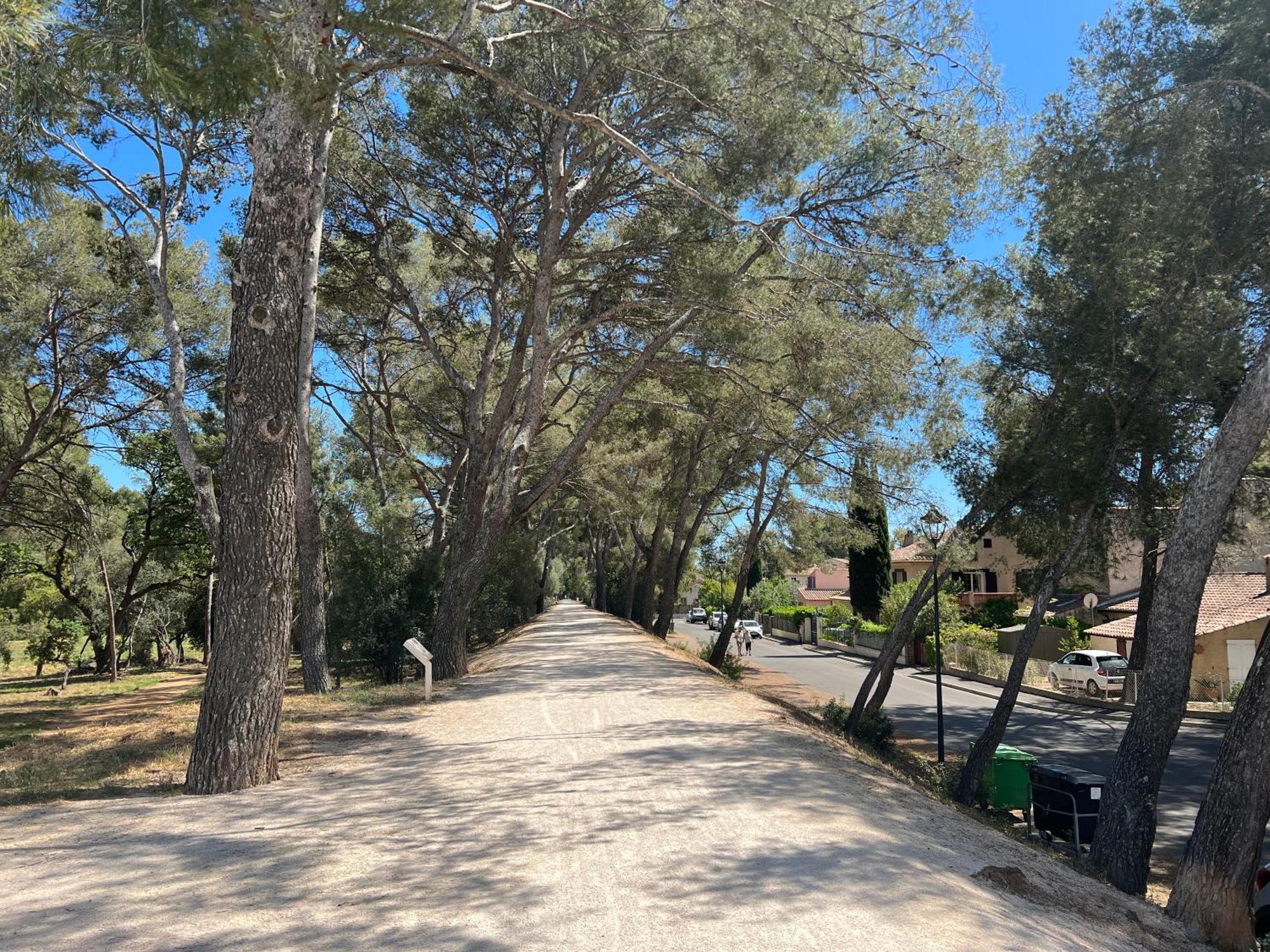 Petit Mas Au Paradis Avec Piscine Pour 6 Personnes La Londe-les-Maures Exterior photo